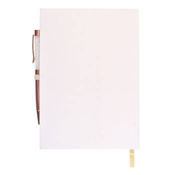 Daily Reflection Journal