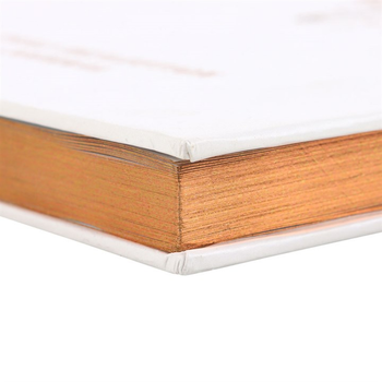 Daily Reflection Journal